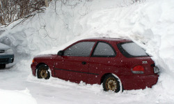 稳定供货商的云呼试用三分钟